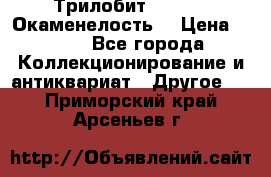 Трилобит Asaphus. Окаменелость. › Цена ­ 300 - Все города Коллекционирование и антиквариат » Другое   . Приморский край,Арсеньев г.